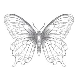 Vintage Beautiful Butterfly - Printable Coloring page
