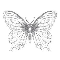 Vintage Beautiful Butterfly Coloring Page - Printable Coloring page