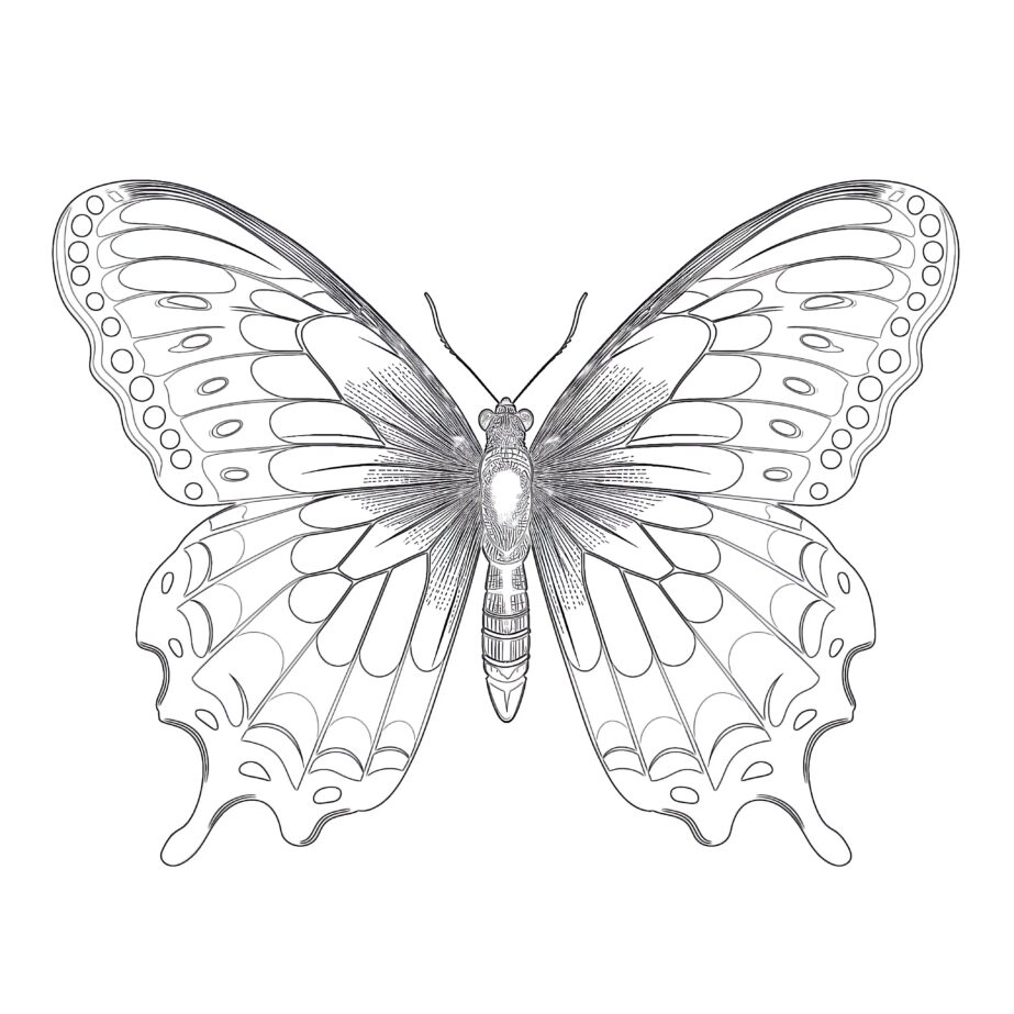 Vintage Beautiful Butterfly Coloring Page