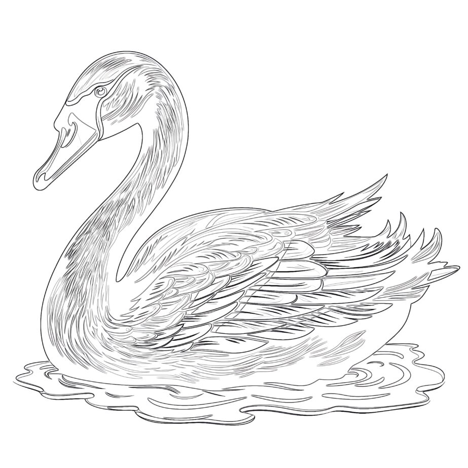 Vintage Black Swan Coloring Page