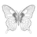 Vintage Butterfly Coloring Page