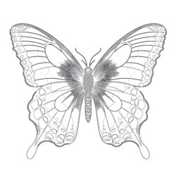 Vintage Butterfly - Printable Coloring page