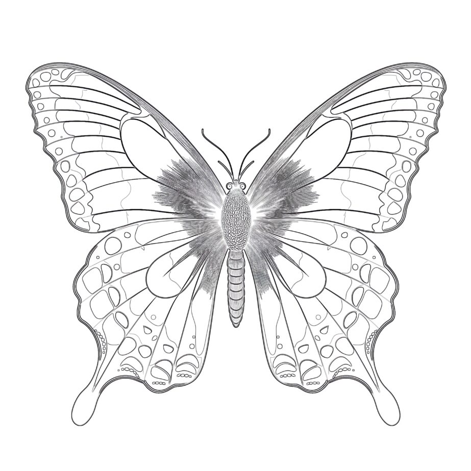 Vintage Butterfly Coloring Page