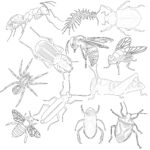 Vintage Insects Coloring Page