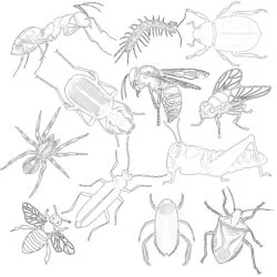 Vintage Insects - Printable Coloring page