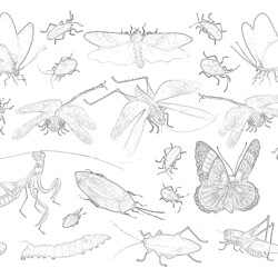 Vintage Insects - Printable Coloring page