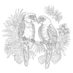 Vintage Two Yellow Parrots Coloring Page