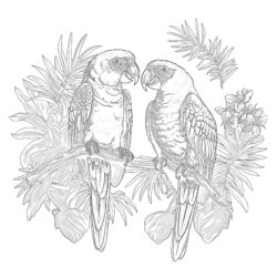 Vintage Two Yellow Parrots - Printable Coloring page