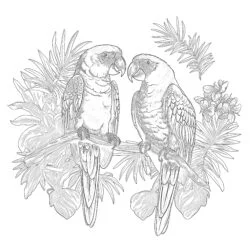 Vintage Two Yellow Parrots Coloring Page - Printable Coloring page