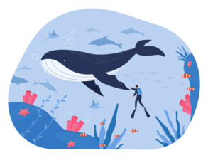 Whale And Scuba Diving - Original image
