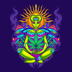 Adult Psychedelic Marijuana - Origin image