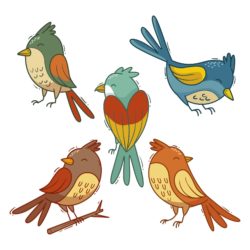 Colorful Cardinal Bird Zentangle Arts - Origin image