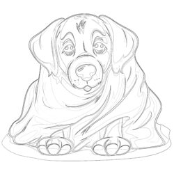 Doggie In A Blanket - Printable Coloring page