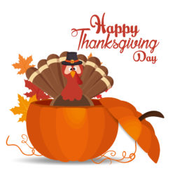 Thanksgiving Day Turkey In Pumpkin - Origin image