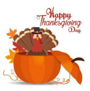 Thanksgiving Day Turkey In Pumpkin - Original image