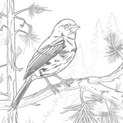 Gelber Vogel im Wald Färbung Seite - Druckbare Ausmalbilder