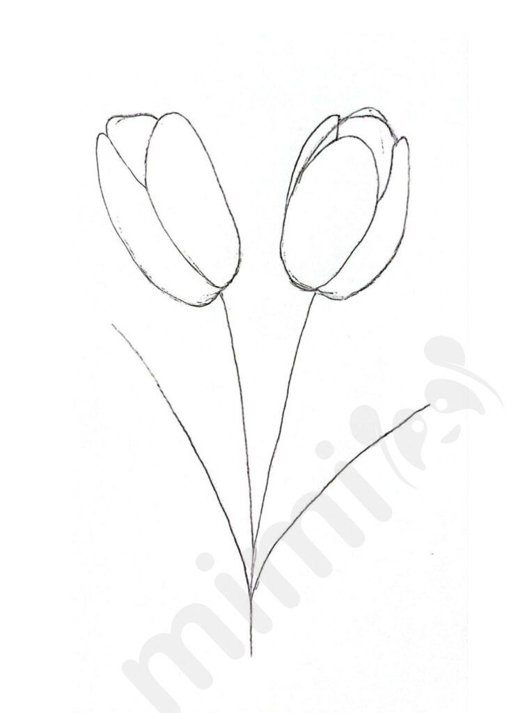 Tulip Drawing: Easy Step-by-Step Tutorial - Mimi Panda