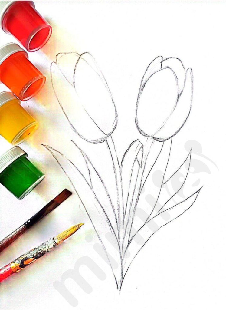 drawing tulip for adult with paint