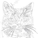 Page à Colorier Sur le Portrait D’un Chat Dans le Style Pop Art