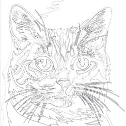 Cat Portrait Pop Art Style - Printable Coloring page