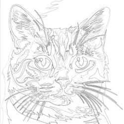 Cat Portrait Pop Art Style Coloring Page - Printable Coloring page