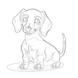 Cute Dachshund Hotdog Coloring Page - Printable Coloring page