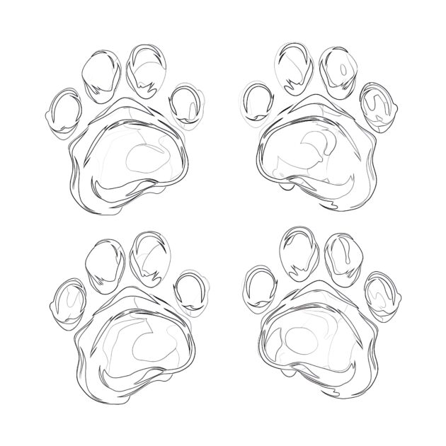 Different Cat Paws Coloring Page | Coloring Pages Mimi Panda