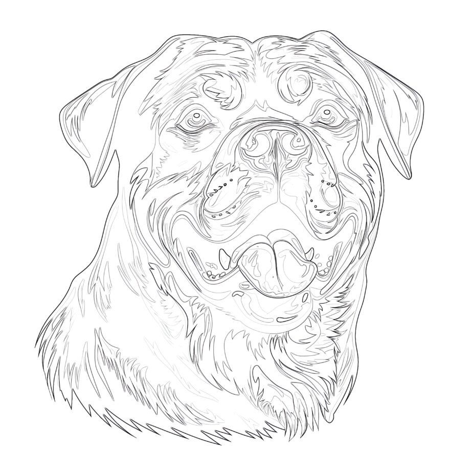 Dog Rottweiler Breed Coloring Page