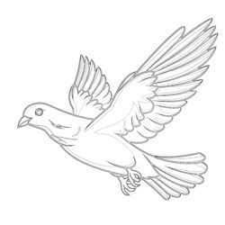Hummingbird - Printable Coloring page