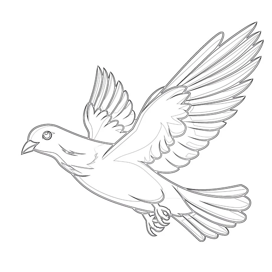 Free Dove Coloring Page 