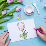 drawing tulip
