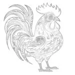 Gallo Divertido Página Para Colorear