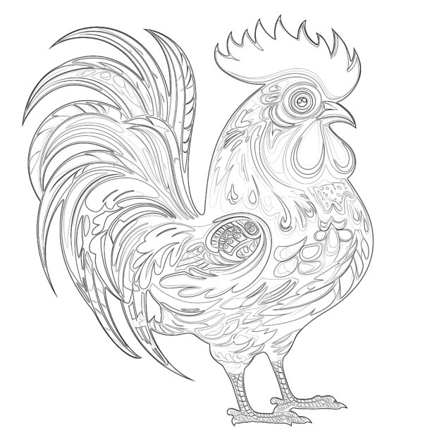 Funny Rooster Coloring Page | Coloring Pages Mimi Panda