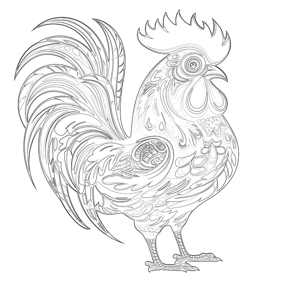Funny Rooster Coloring Page