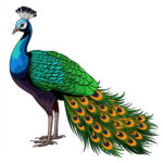 Peafowl Página Para Colorear 2 2