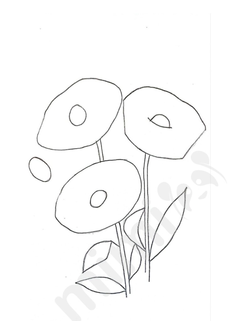 Flower Drawing Step By Tutorial