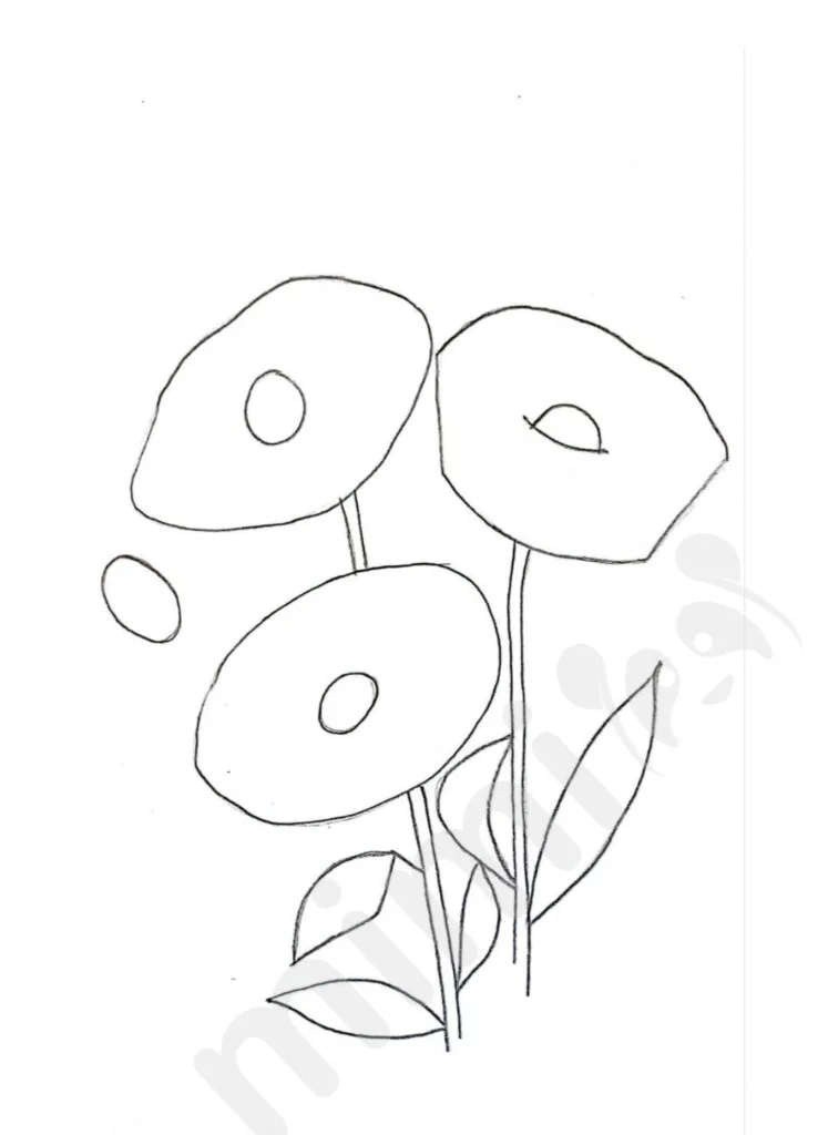 poppy flower drawing 1