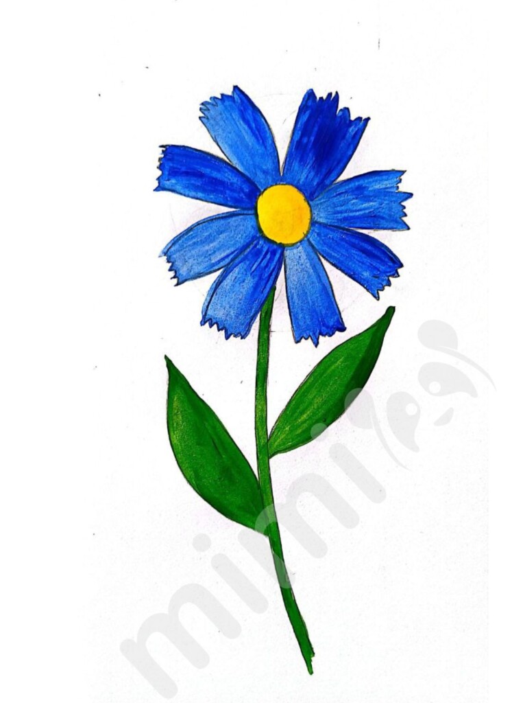 drawing a blue flower for children 7