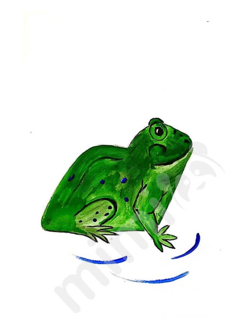 Stock Art Drawing of a Wallace's Flying Frog - inkart