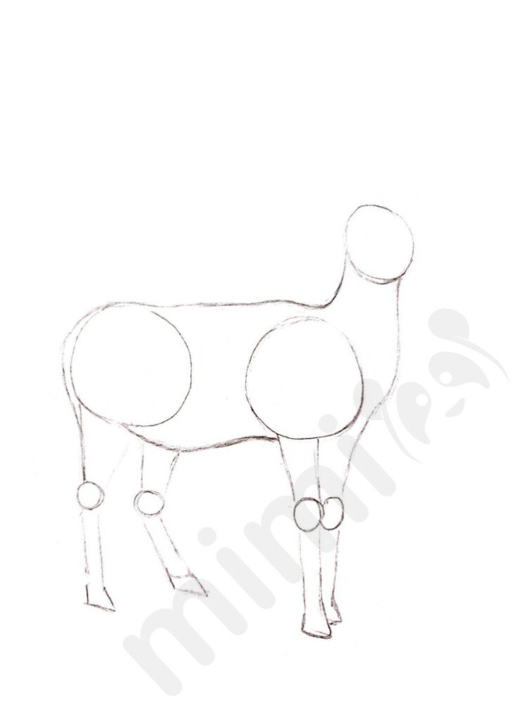 Deer drawing for adult 3
