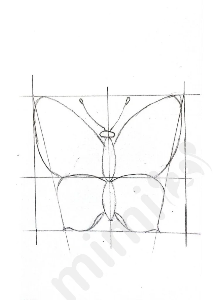 Butterfly drawing tutorial for adults 2