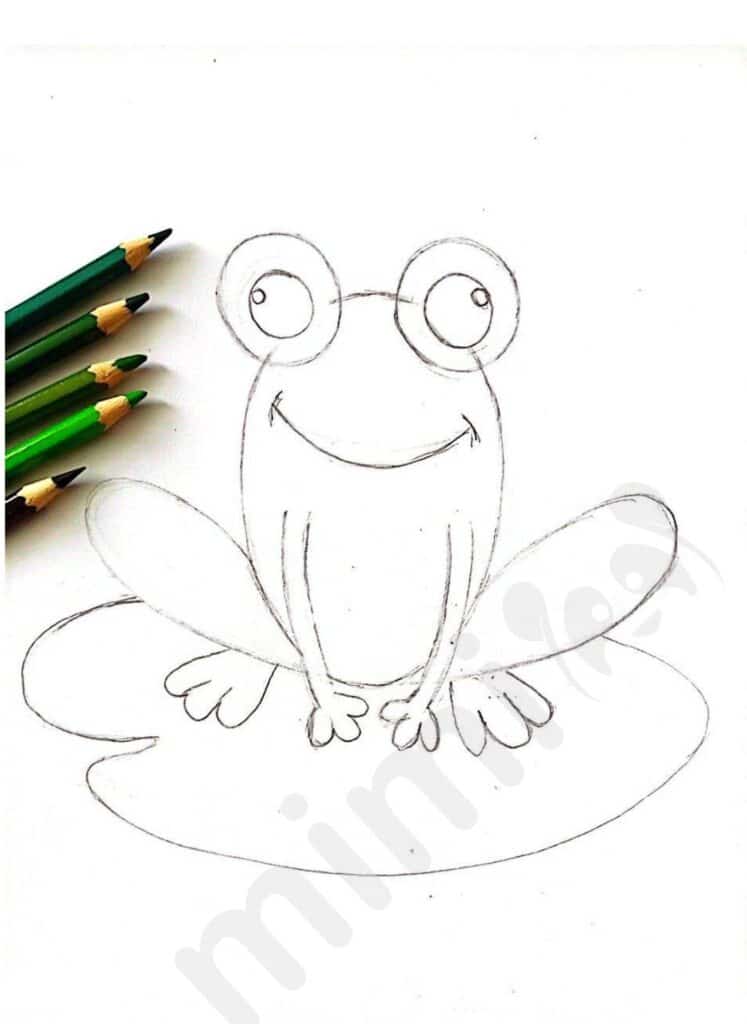 drawing frog with pencils