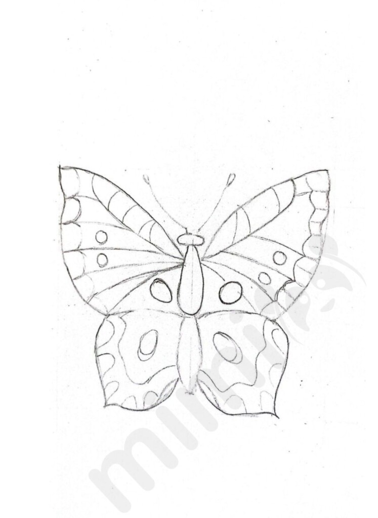 Butterfly drawing tutorial for adults 3