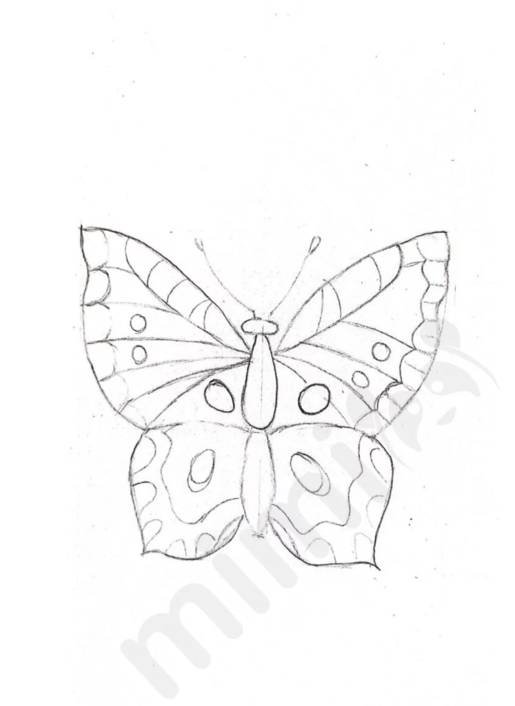 Butterfly drawing tutorial for adults 3
