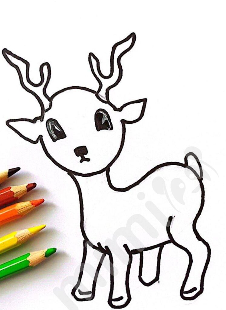 Deer drawing for kids 6