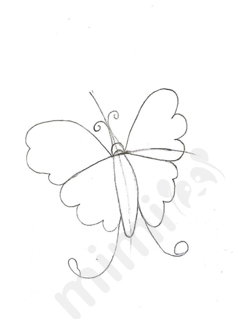 Butterfly drawing tutorial for kids 2
