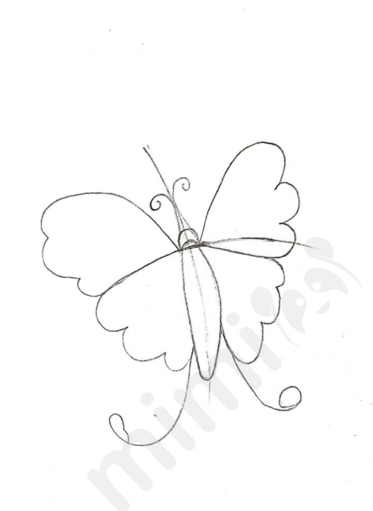 How To Draw An Easy Butterfly, Step by Step, Drawing Guide, by Dawn -  DragoArt