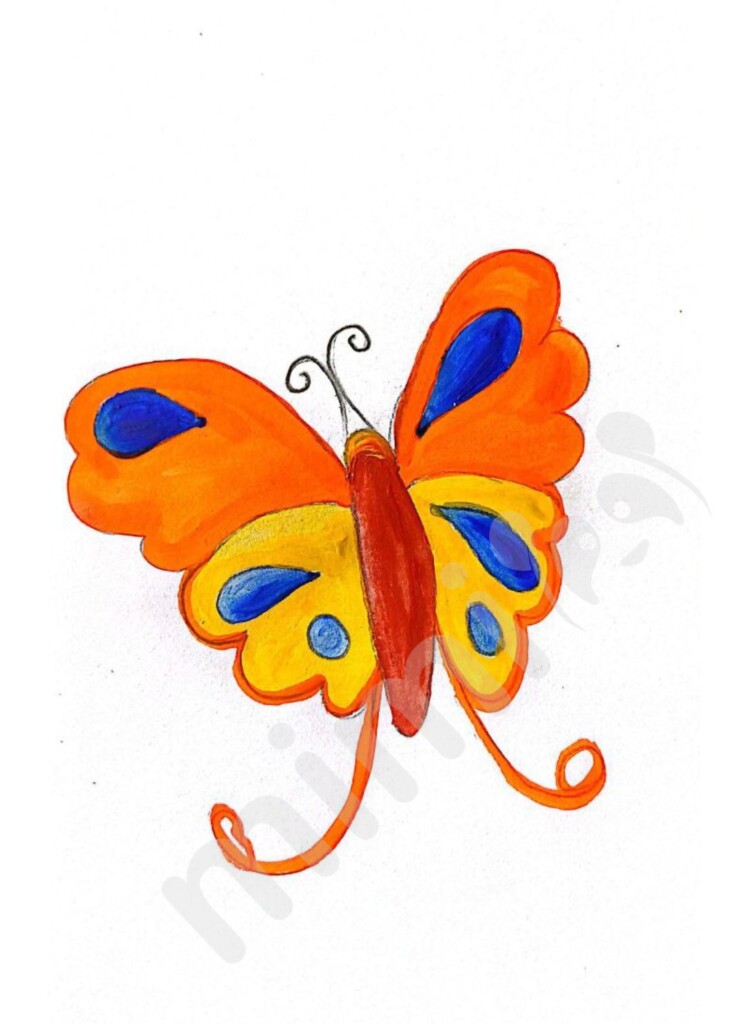 Cute butterflies simple illustration for kids drawing 14011974 PNG-omiya.com.vn