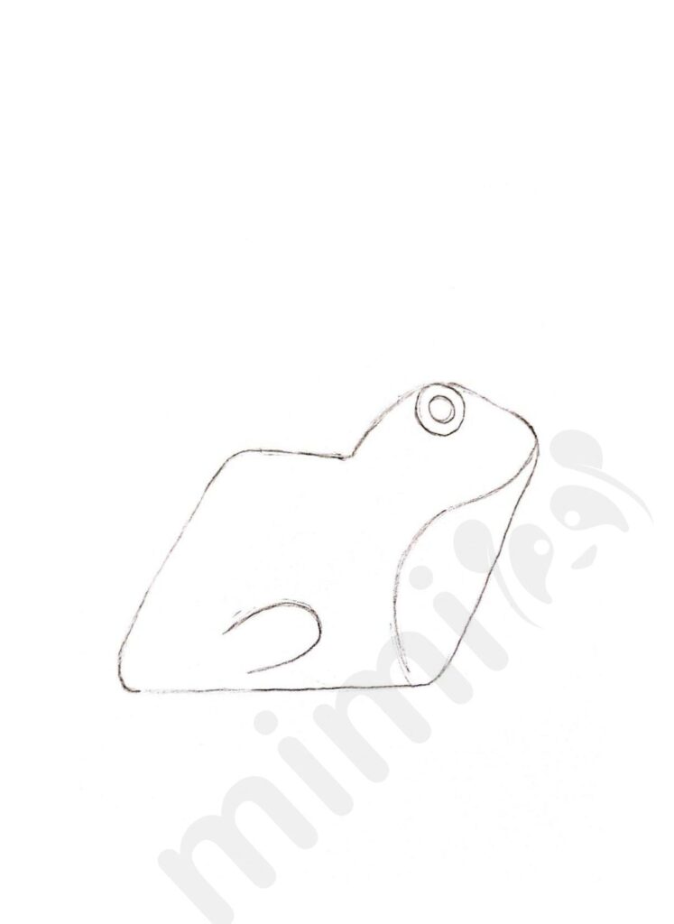 drawing frog for adult 2