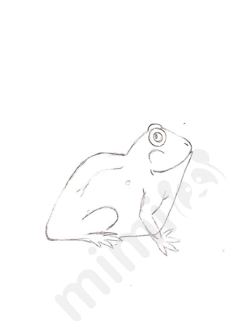 drawing frog for adult 3